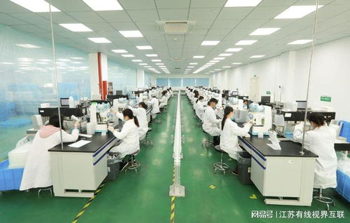 砥礪前行 打造生物醫藥民族品牌，引領技術研發與轉讓新篇章